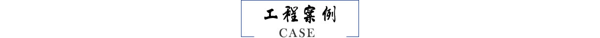 案例展示