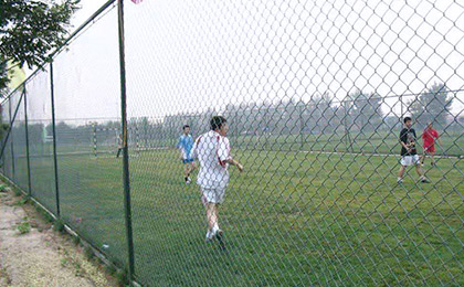 护栏网3.jpg